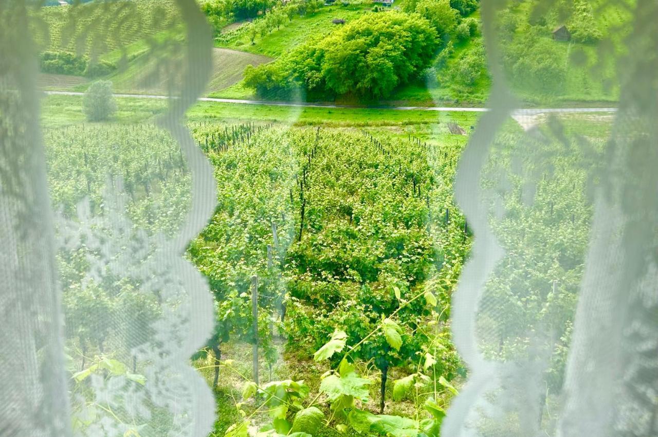 Wine Paradise Sveti Ivan Zelina Exterior foto