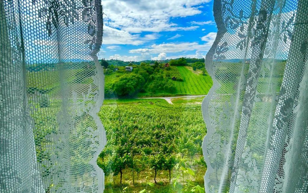 Wine Paradise Sveti Ivan Zelina Exterior foto