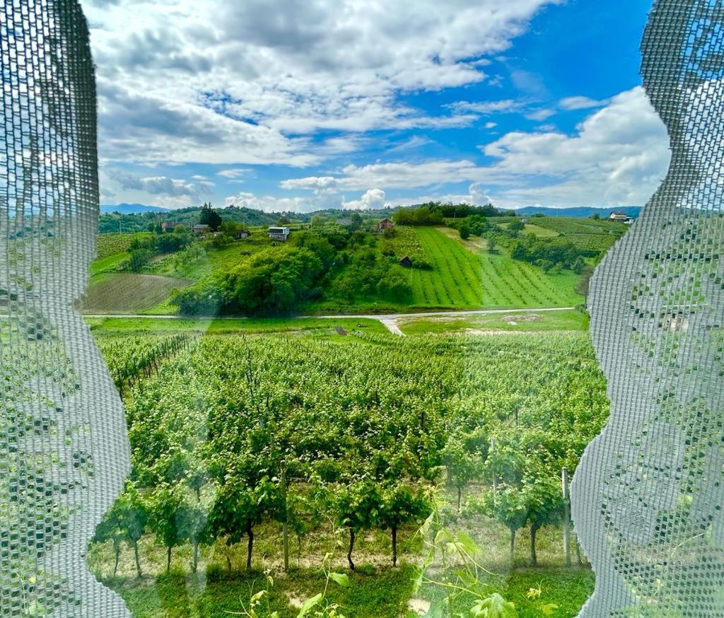 Wine Paradise Sveti Ivan Zelina Exterior foto