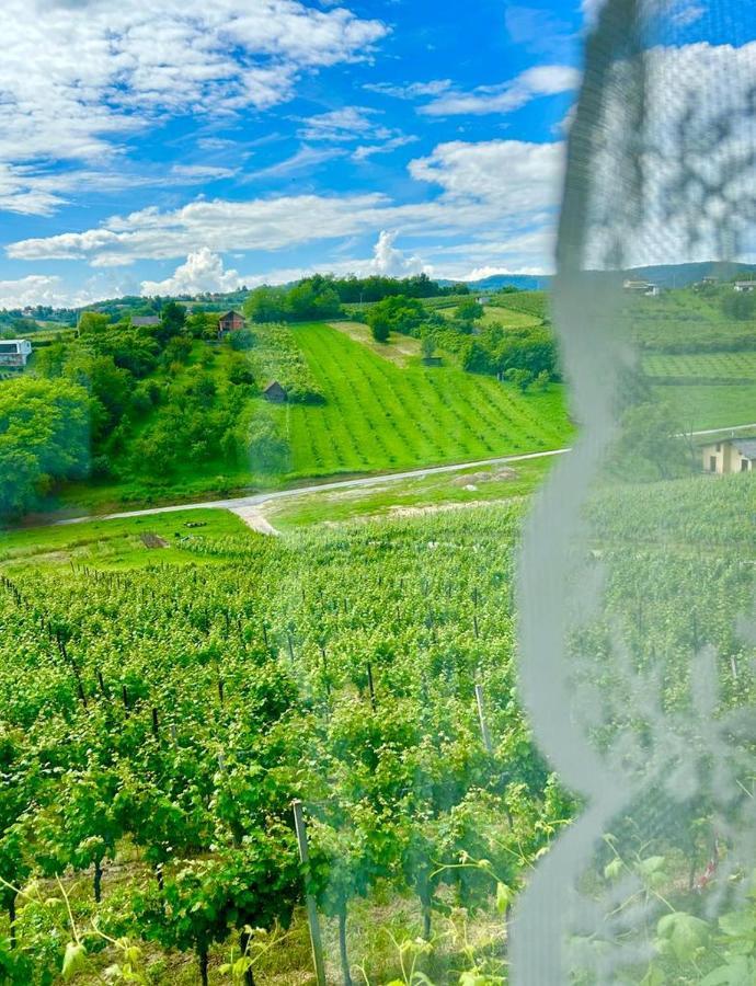 Wine Paradise Sveti Ivan Zelina Exterior foto
