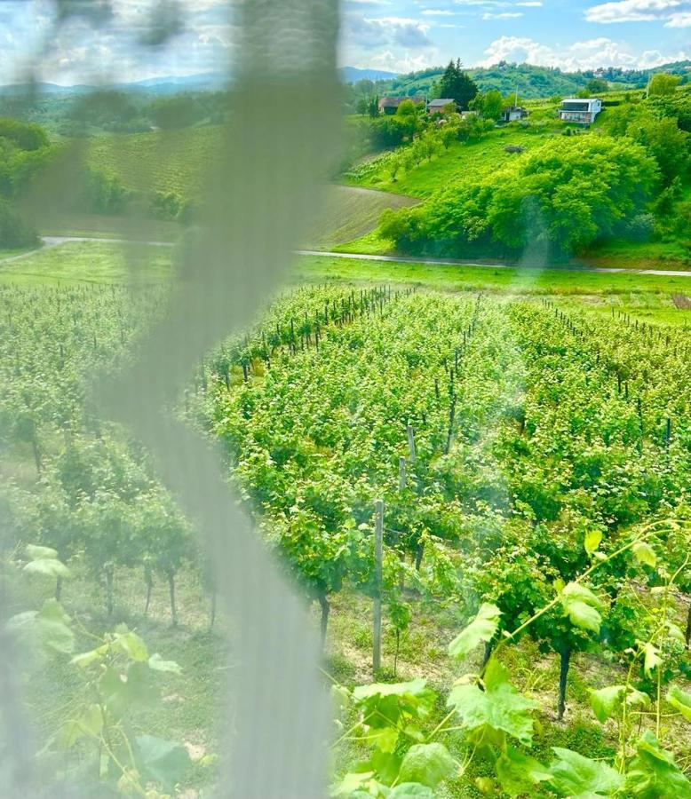 Wine Paradise Sveti Ivan Zelina Exterior foto