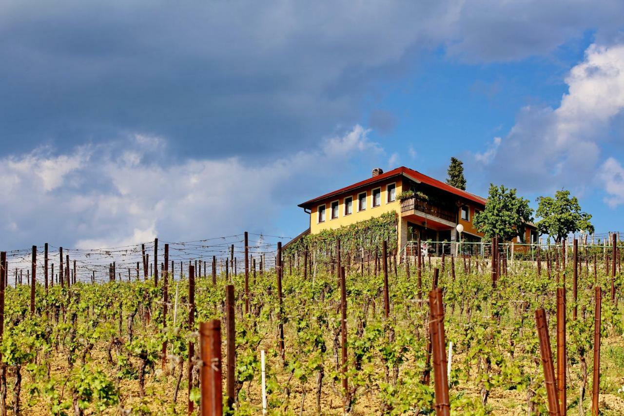 Wine Paradise Sveti Ivan Zelina Exterior foto