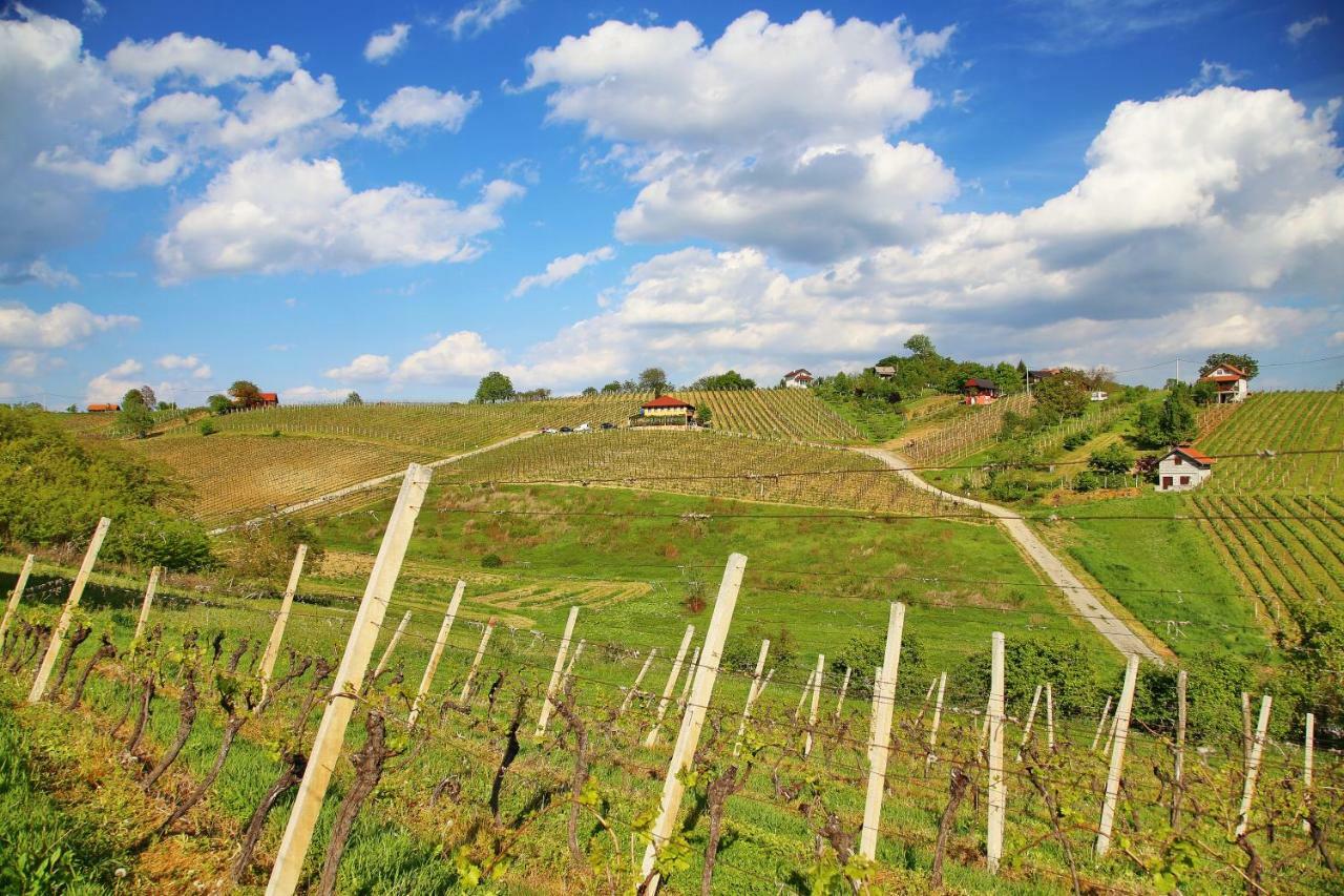 Wine Paradise Sveti Ivan Zelina Exterior foto