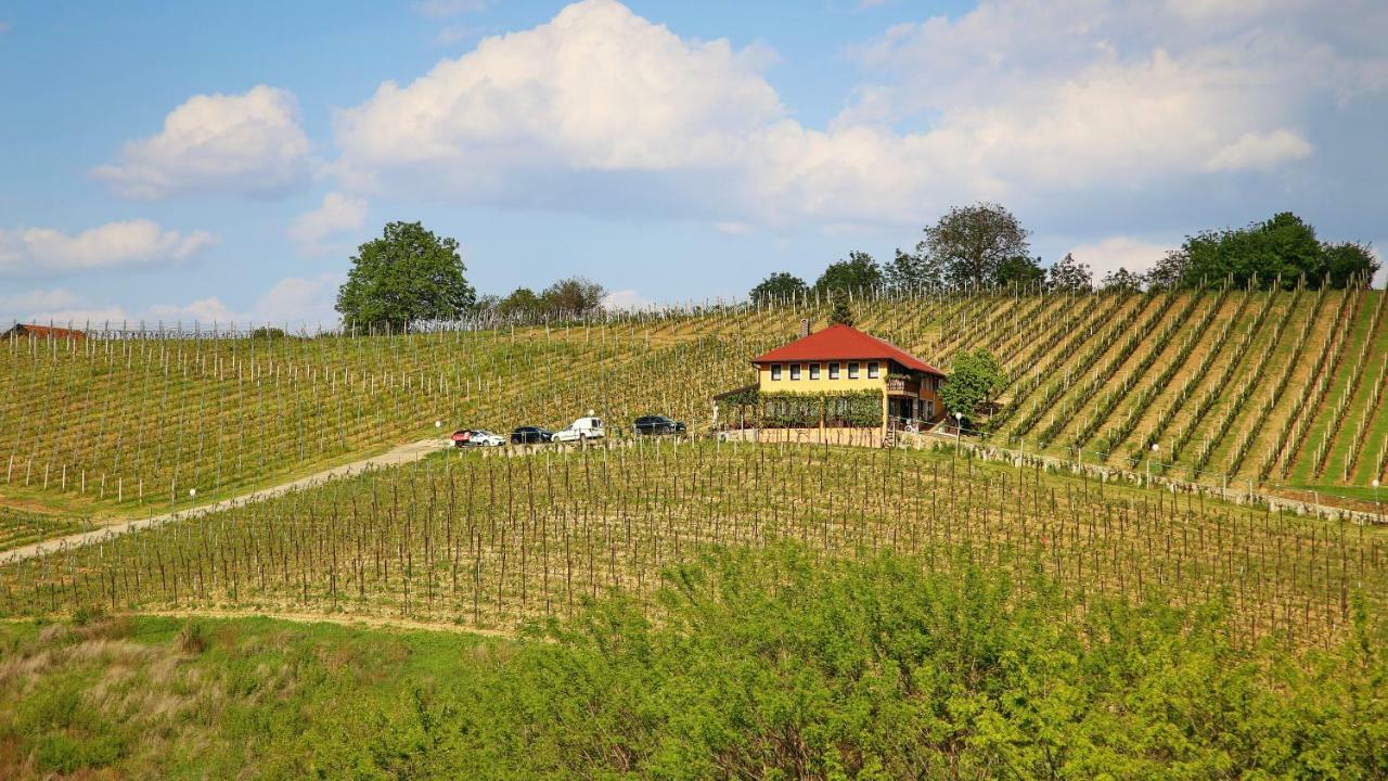 Wine Paradise Sveti Ivan Zelina Exterior foto
